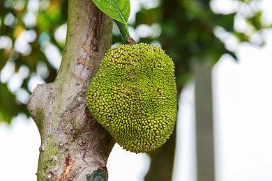 《忍者龙剑传：狂暴之境》回归 但前路仍然遍布坎坷